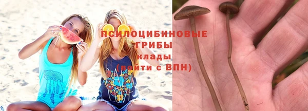 гашиш Абаза