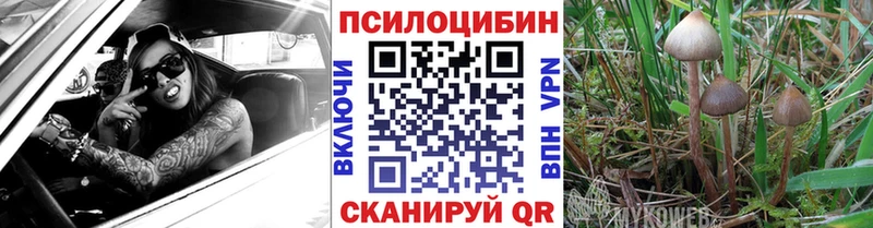 цена   Шарья  Галлюциногенные грибы ЛСД 